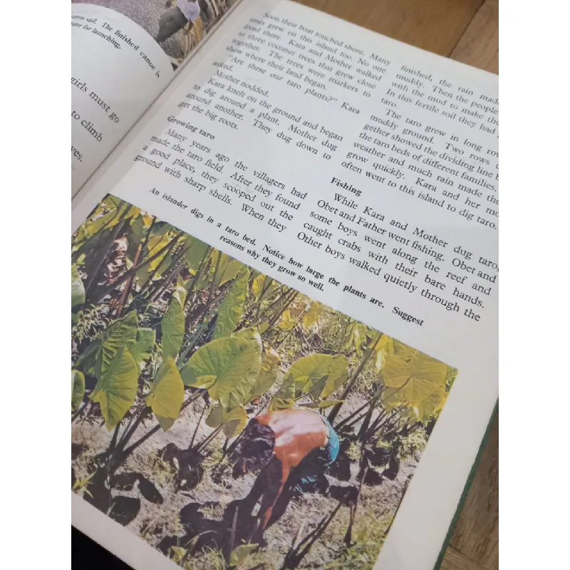 At home around the world - Delia Goetz 585619