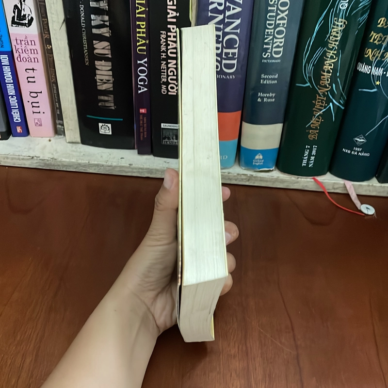 II Văn Học Nước Ngoài: Người Đưa Diều - KHALED HOSSEINI - 2019 548026