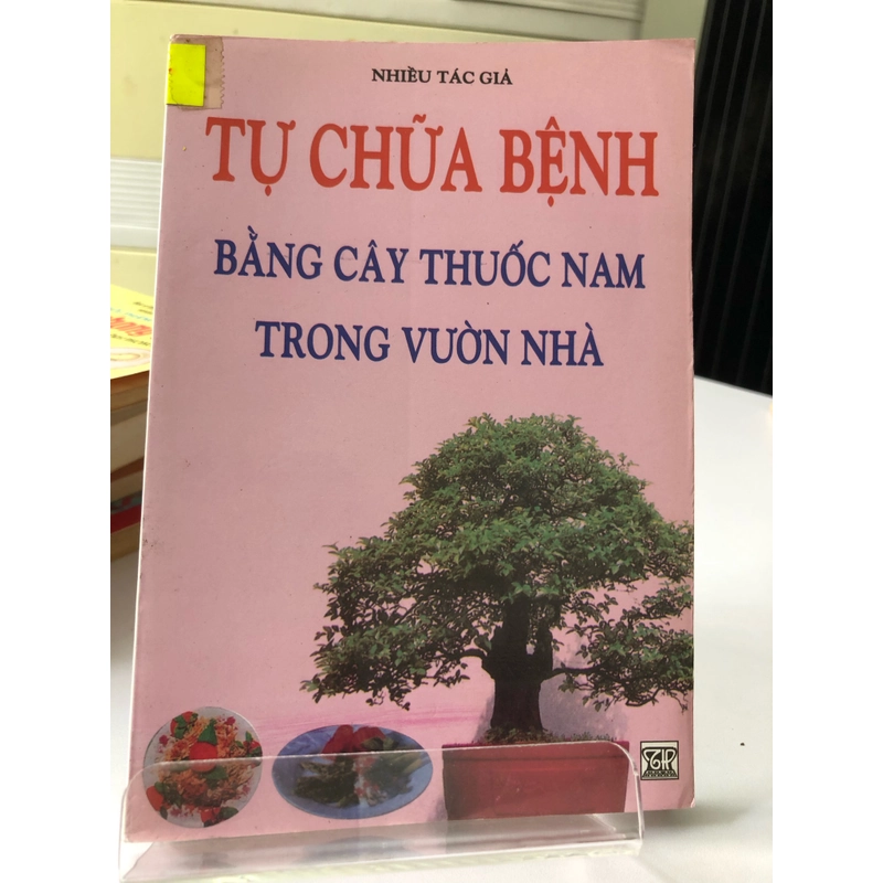 TỰ CHỮA BỆNH BẰNG CÂY THUỐC NAM TRONG VƯỜN NHÀ  274776