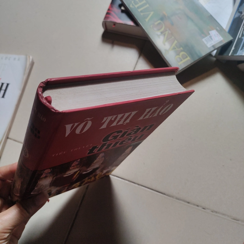 Tiểu thuyết Giàn Thiêu của Võ Thị Hảo 471964
