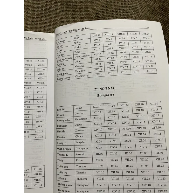 Học châm cứu bằng hình ảnh- sách y khổ lớn - Lý Quý Ngưu  933855