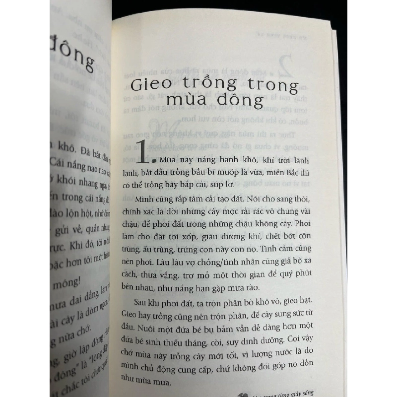 Nụ cười trên lá - Hồ Ngọc Dinh 731210