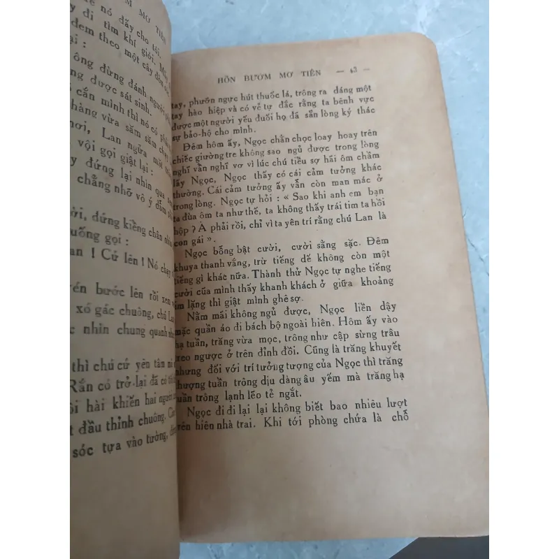 HỒN BƯỚM MƠ TIÊN - KHÁI HƯNG 777967