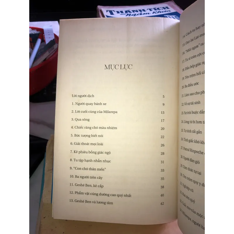 Sư tử tuyết bờm xanh - Surya Das 1021747