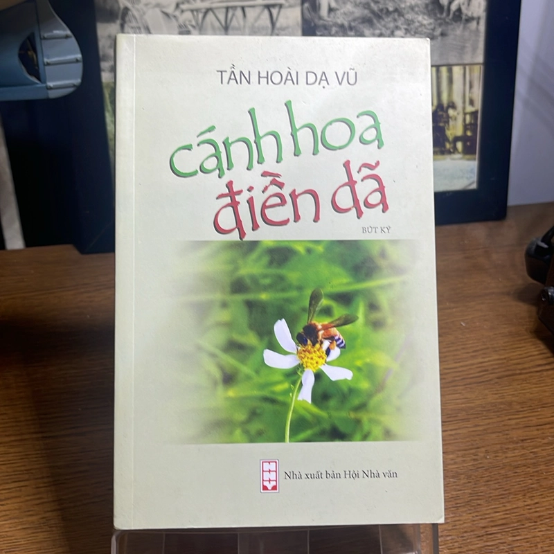Cánh hoa điền dã Tần Hoài Dạ Vũ 508234