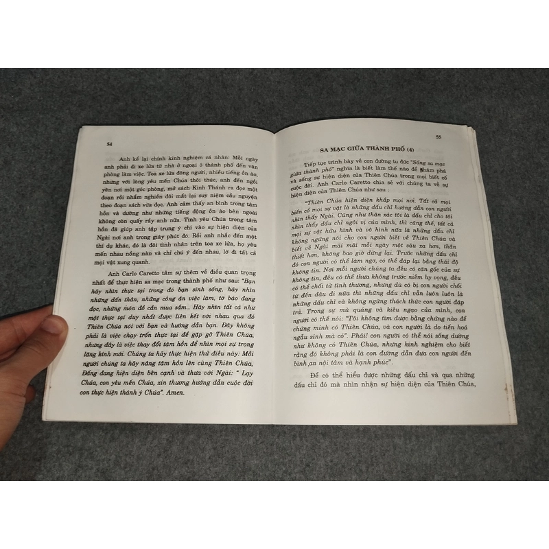 HẠT GIỐNG ÂM THẦM 517737