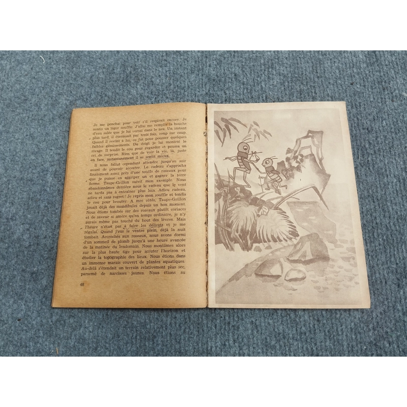LES AVENTURES DE GRILLON - TO HOAI 472261