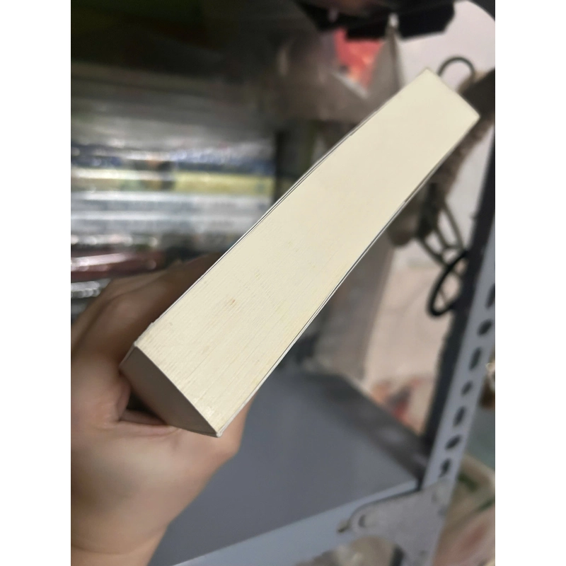 [Ngôn Tình] Sách - Bức Thư Bị Lãng Quên (Tái Bản Có Bổ Sung Ngoại Truyện) 466288