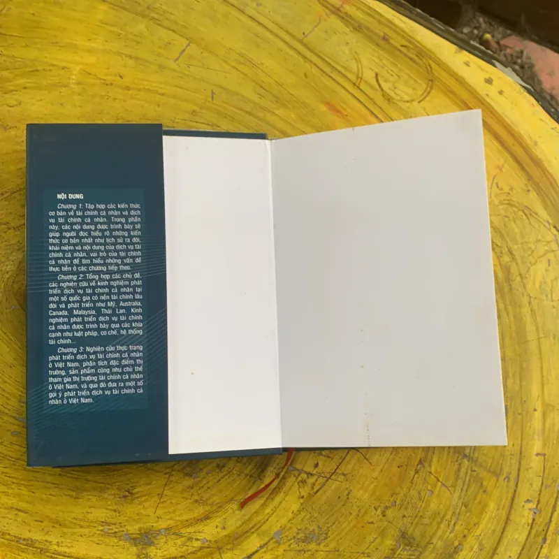 PHÁT TRIỂN DỊCH VỤ TÀI CHÍNH CÁ NHÂN - ĐINH THỊ THANH VÂN - LÊ TRUNG THÀNH 956919