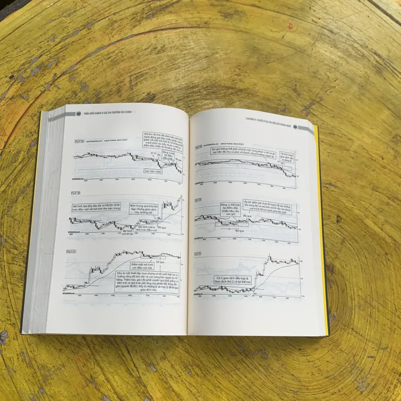 THẤU HIỂU HÀNH VI GIÁ THỊ TRƯỜNG TÀI CHÍNH - chuỗi sách giao dịch thực chiến  753239