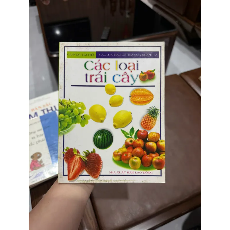 “Các loại trái cây” - K3 1005857