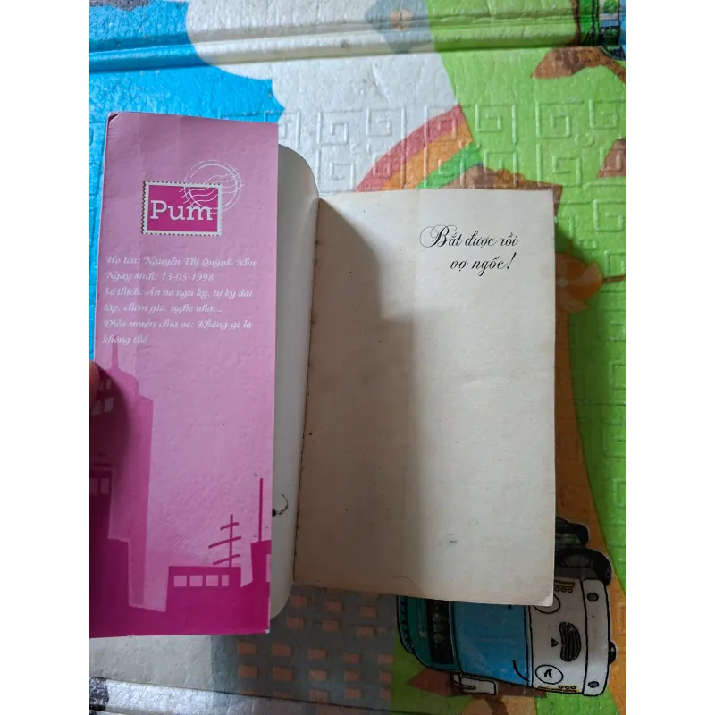 Bắt được rồi, vợ ngốc 977524