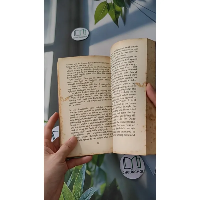 [XƯA] The Secret of Platform 13 (1994) - Eva Ibbotson 1033598