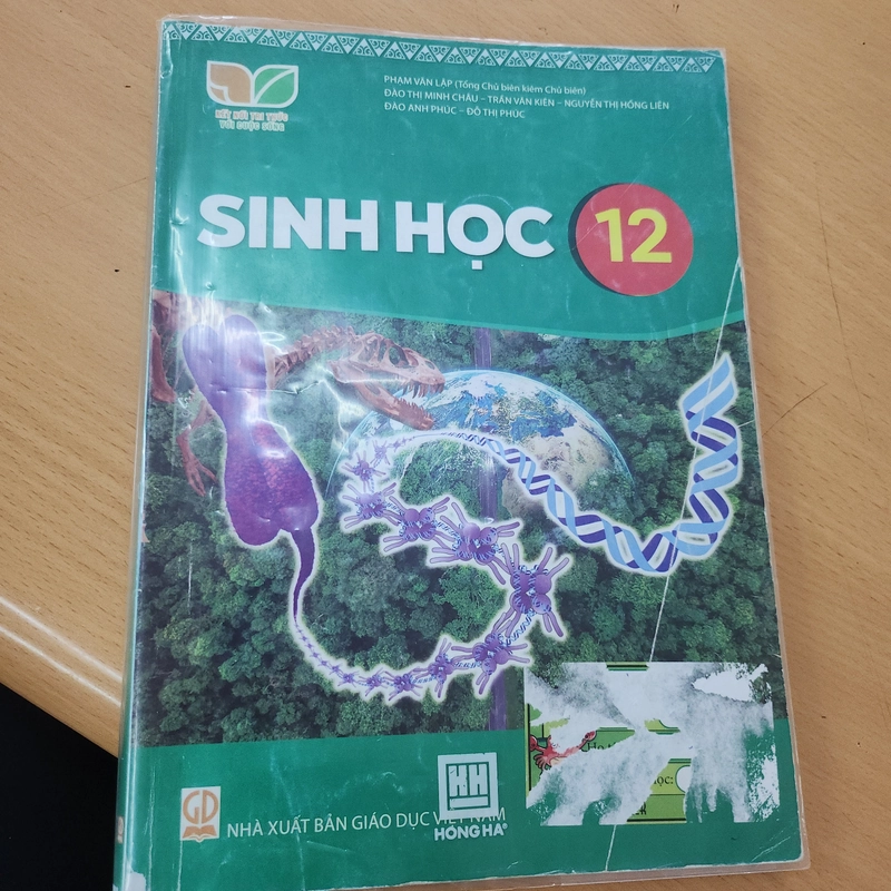 Sách giáo khoa Sinh 12 - Kết nối tri thức 455227