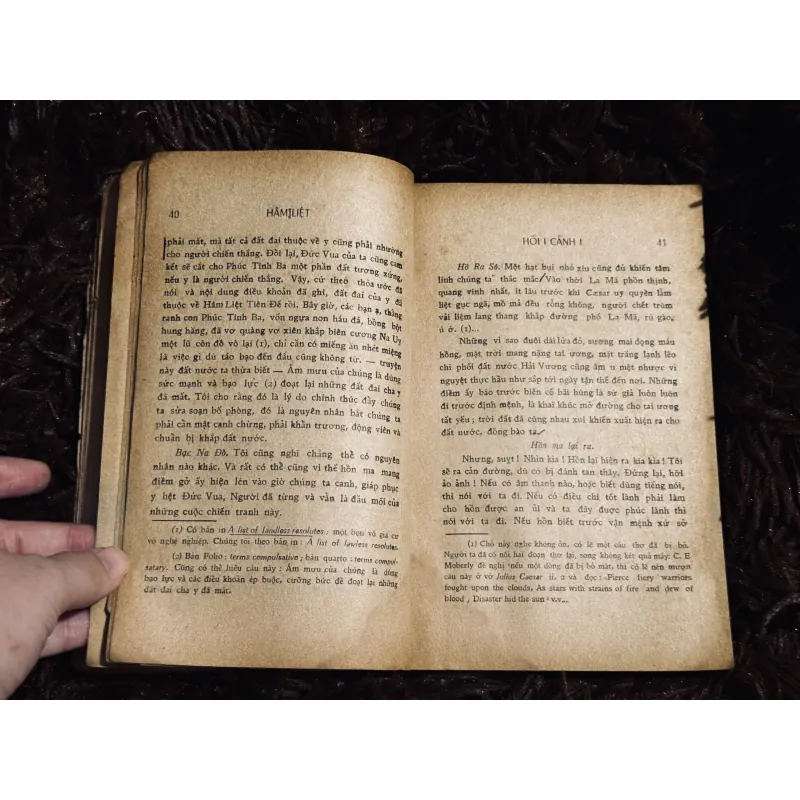 Hâm Liệt - Shakespeare (đọc mô tả) 746221