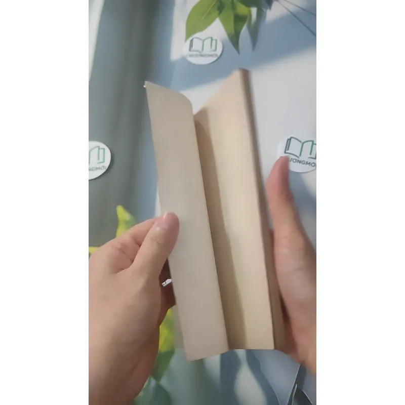 Sài Gòn Dậy Mà Đi - Lê Văn Nuôi 928526