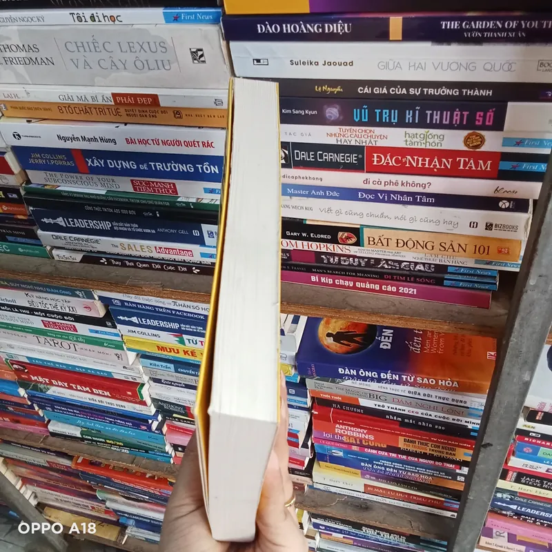 Nhà Lãnh Đạo Sáng Suốt 590772