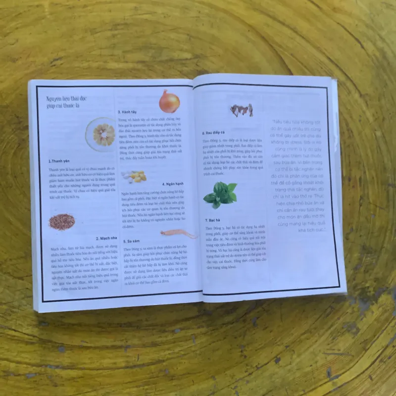 THẦN DƯỢC XANH  935188