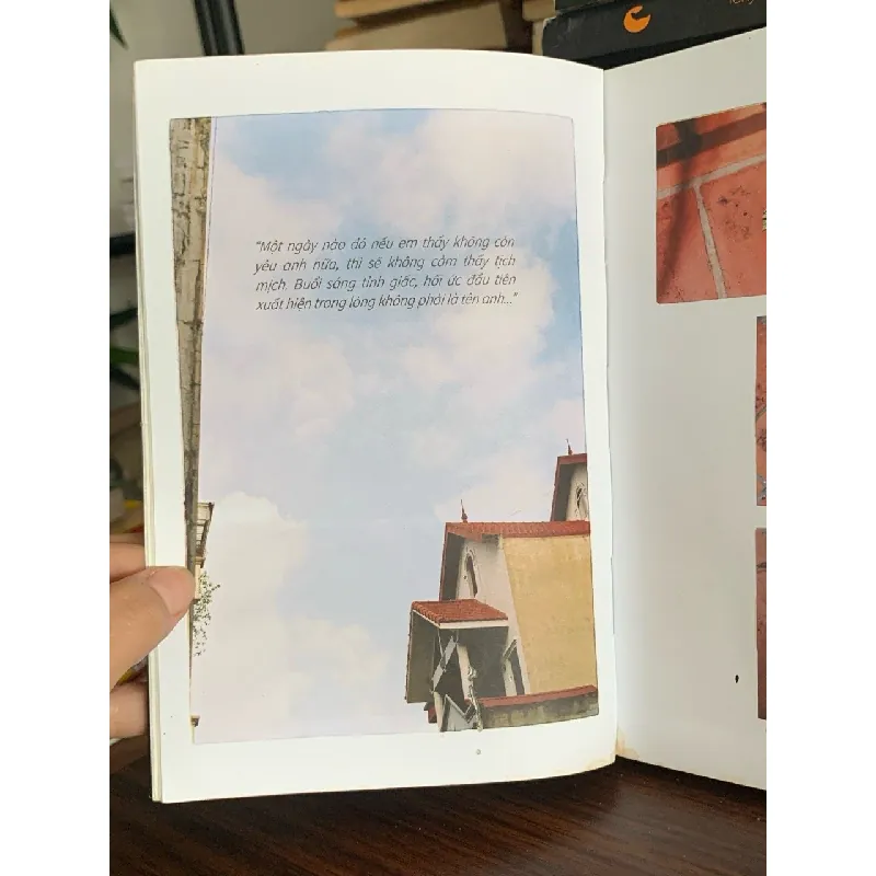 Thanh Tỉnh Kỷ- An Ni Bảo Bối 702212