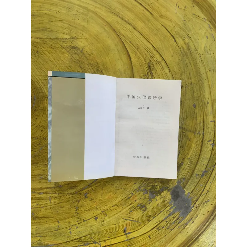 TRUNG QUỐC HUYỆT VỊ CHẨN ĐOÁN HỌC bản Tiếng Trung 1030284