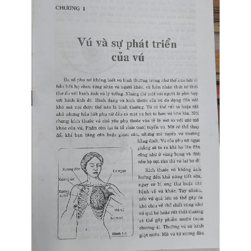 Cẩm nang: Vú & bệnh ung thư vú - Dr. Susan M. Love, Karen Lindsey (BS. Bích Thủy, BS. Hải Yến soạn & dịch) 536715