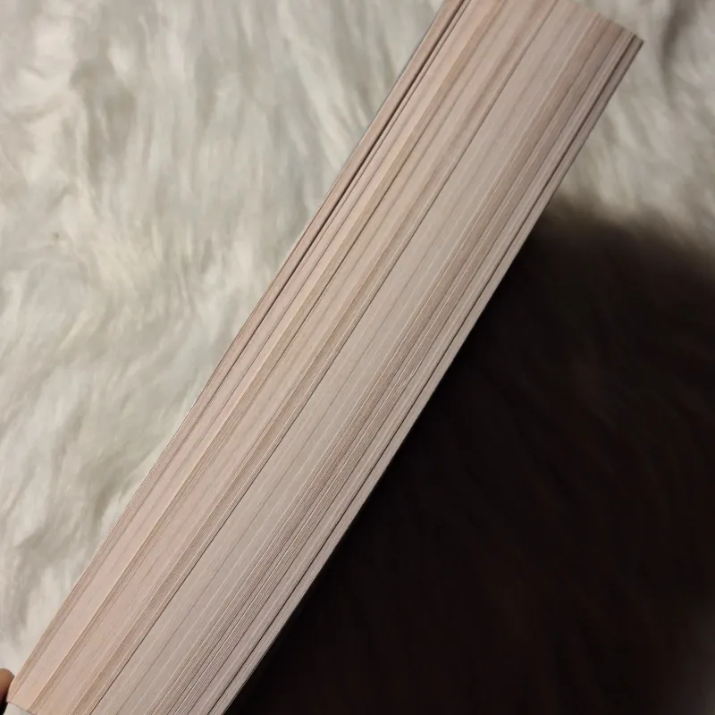 Hanya Yanagihara - A Litte Life 957128