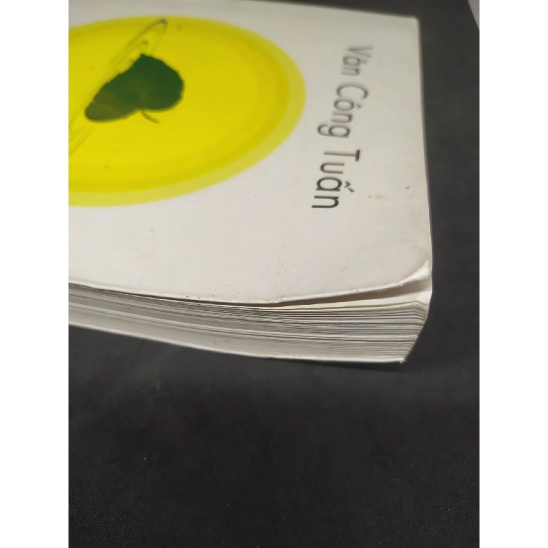 Hạt nắng bồ đề mới 80% (cong nhẹ) HCM2812 910655