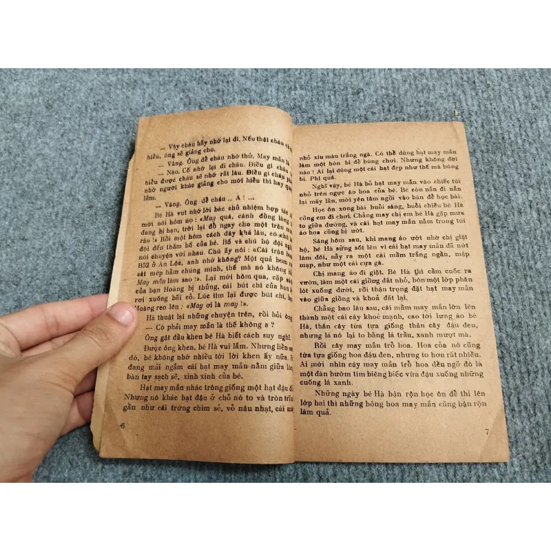 HẠT MAY MẮN - TRIỆU BÔN 689515