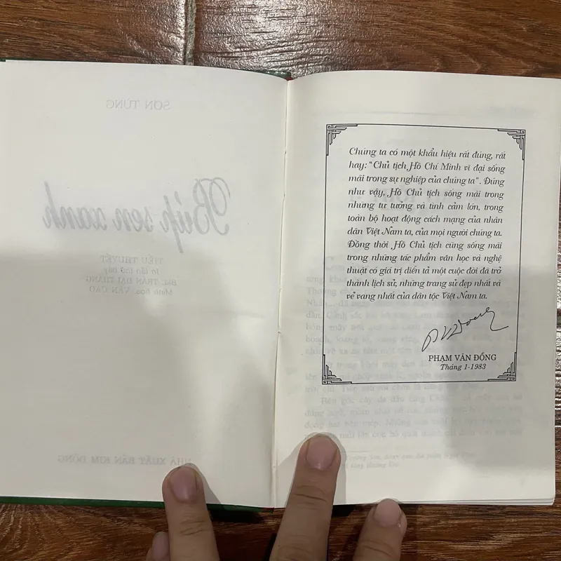 Búp sen xanh - Sơn Tùng (6) 719212