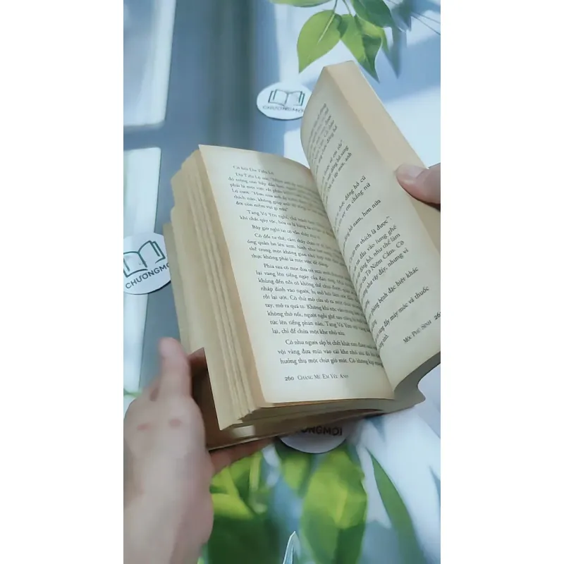 Chàng Mù, Em Yêu Anh - Mộc Phù Sinh 744710