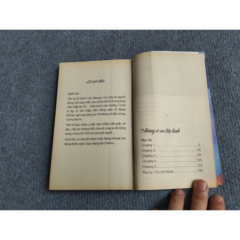 NHỮNG VÌ SAO LẤP LÁNH 504874
