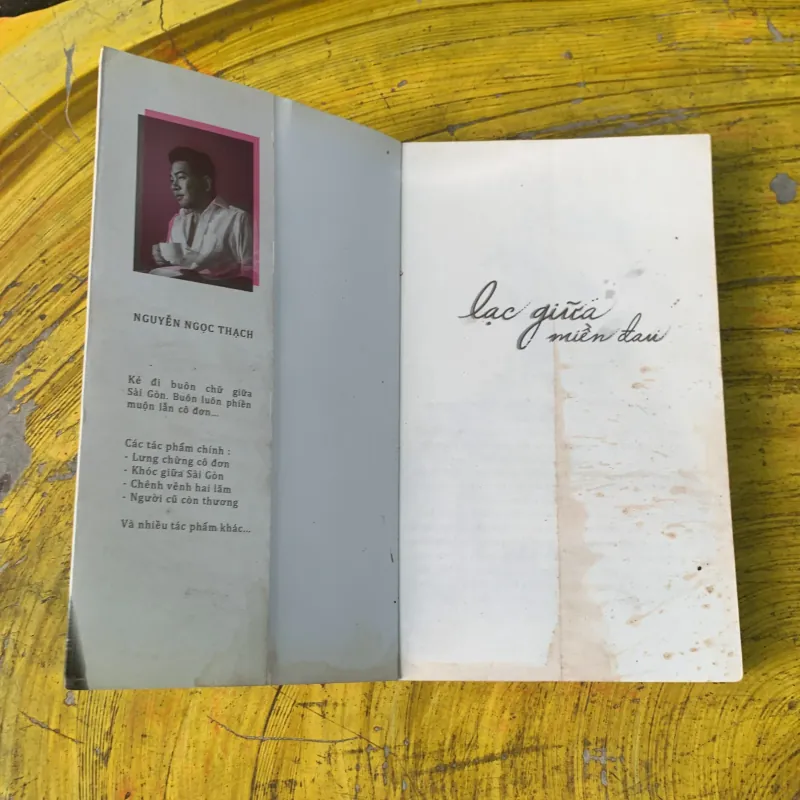 LẠC GIỮA MIỀN ĐAU - NGUYỄN NGỌC THẠCH 746807