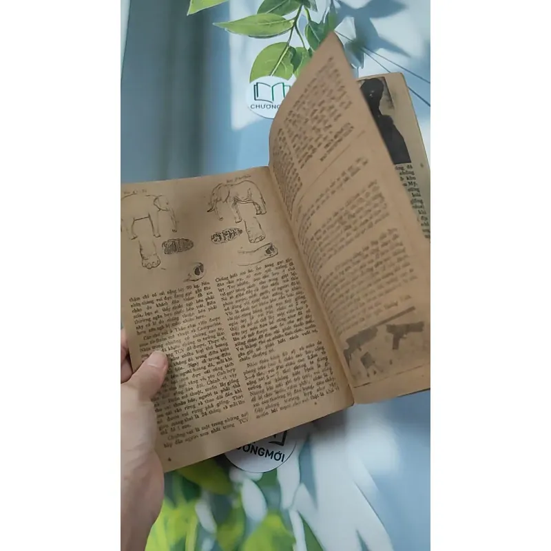 Tạp Chí Khoa Học Phổ Thông: Thảo Cầm Viên TP. Hồ Chí Minh 775989