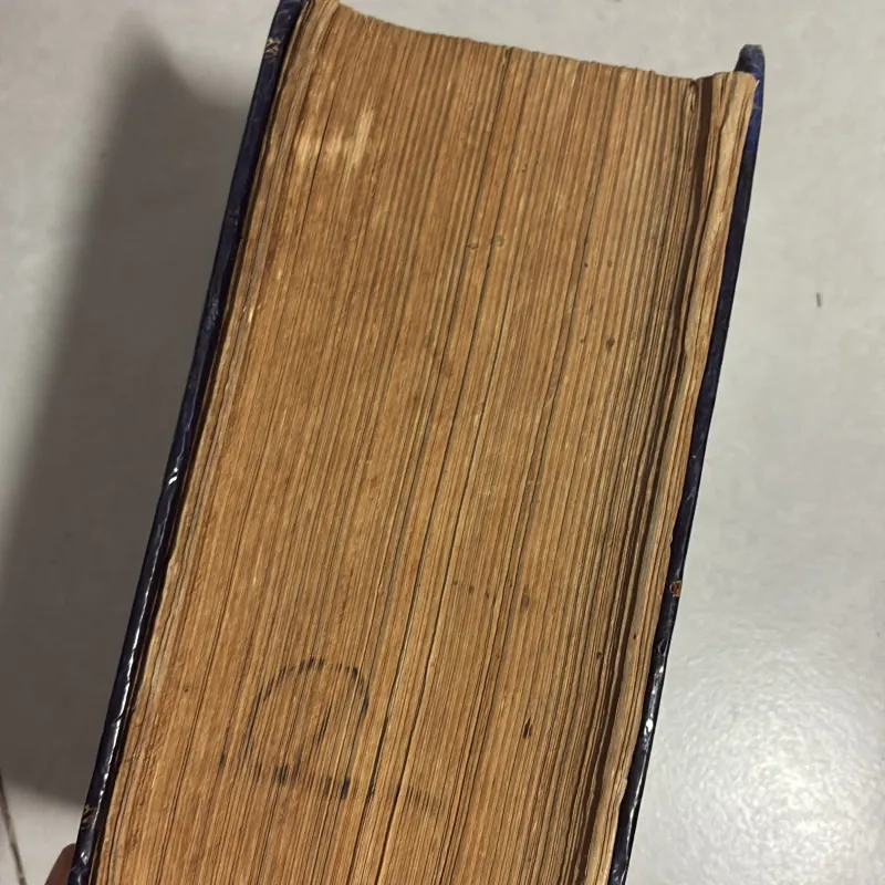 Từ điển Anh Việt - 1994s 778639