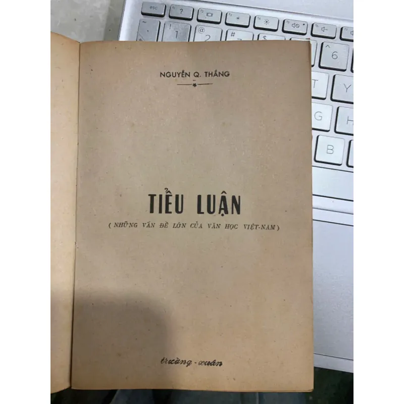 TIỂU LUẬN: NHỮNG VẤN ĐỀ LỚN CỦA VĂN HỌC VIỆT NAM - NGUYỄN Q. THẮNG 561622