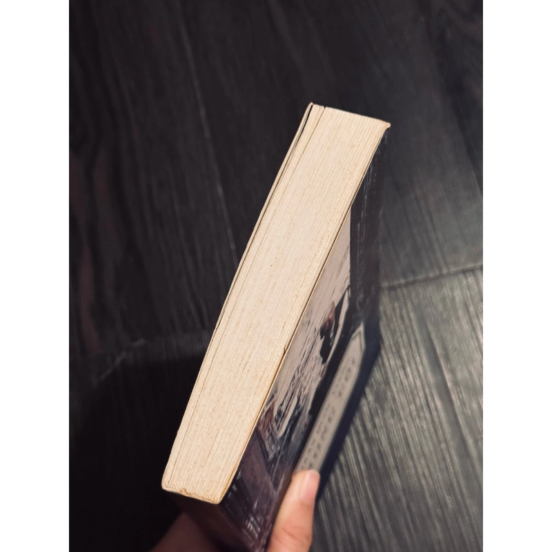 Trong cõi - Trần Quốc Vượng 509459