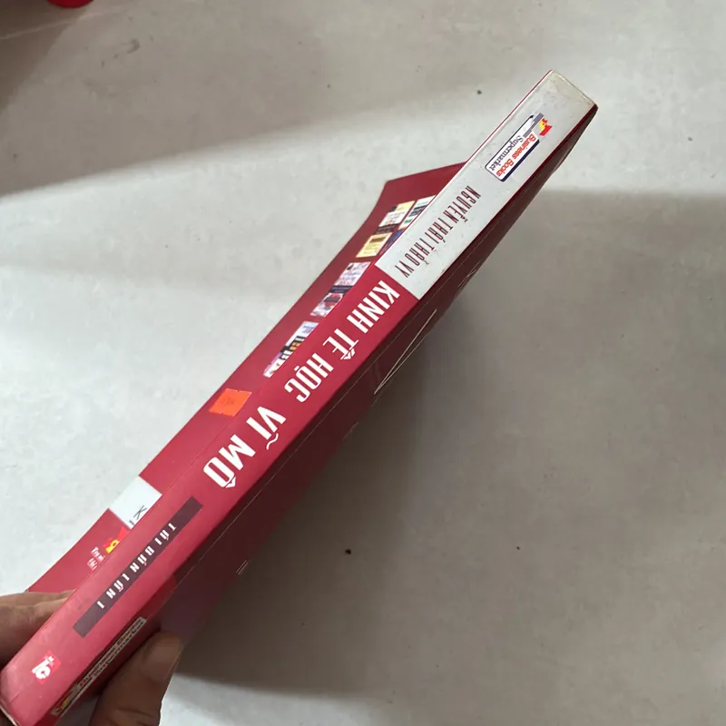 Kinh tế học vĩ mô - nguyễn thái thảo vy 727826