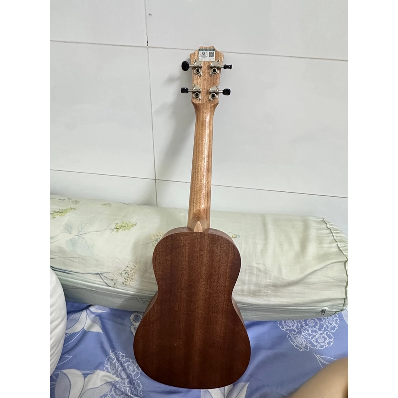 Đàn Ukulele Gỗ chính hãng size concert basic 494139