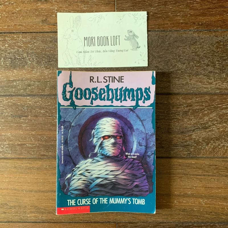 Combo 2 cuốn Goosebumps, Used, sách chapter đọc tiếng anh cho trẻ 8+ 447774