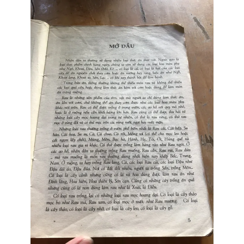 Cây rau làm thuốc 1000566