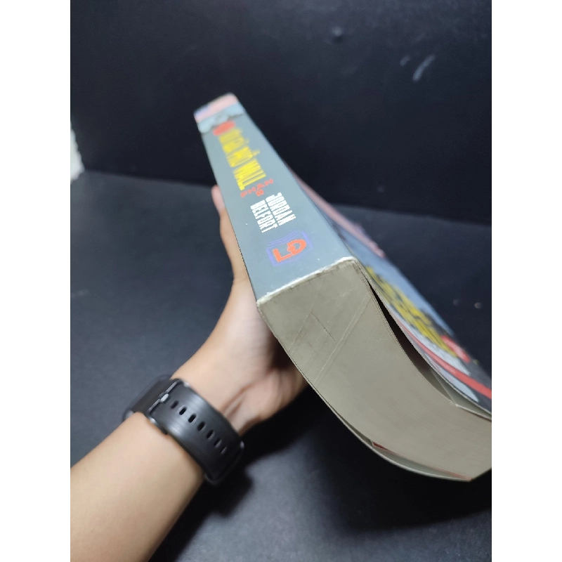 Sói già phố Wall Phần 2 Jordan Belfort mới 90% HCM.ASB0211 912241