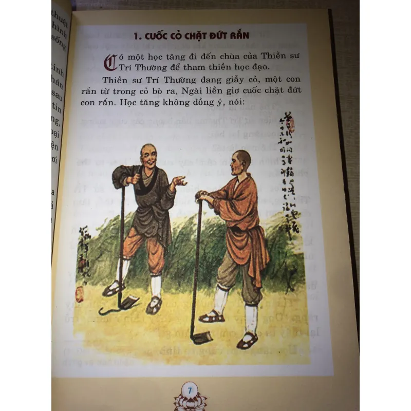 Sức Sống Thiền Môn 970649