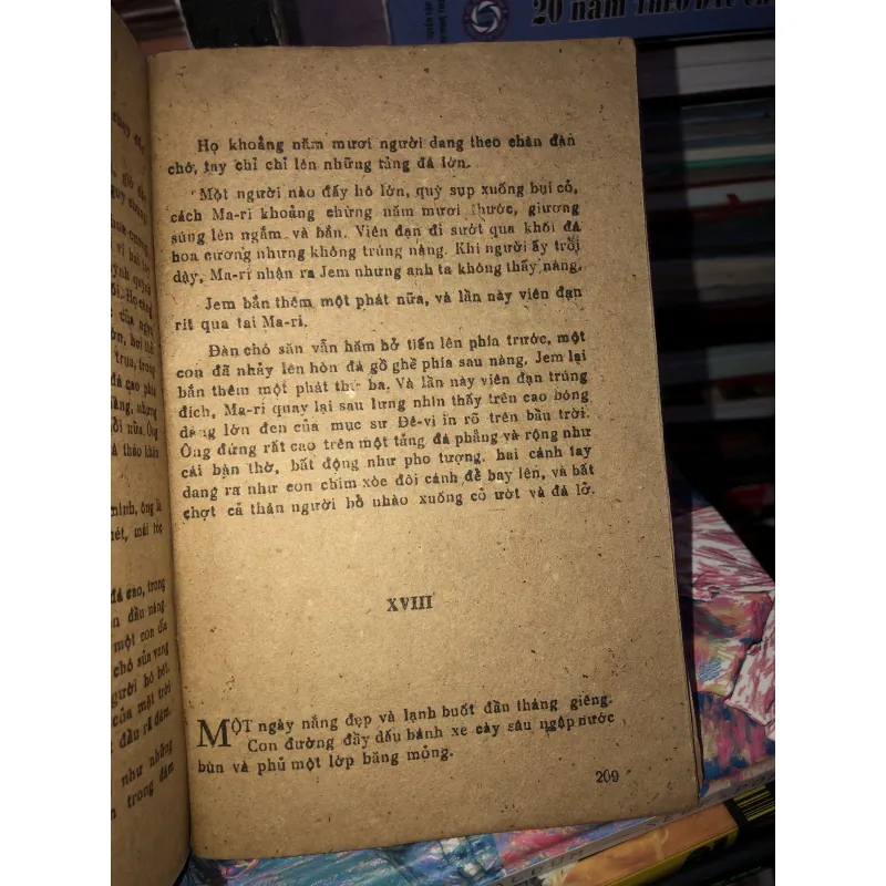 Lữ quán trá hình - Daphné Du Maurier  969865