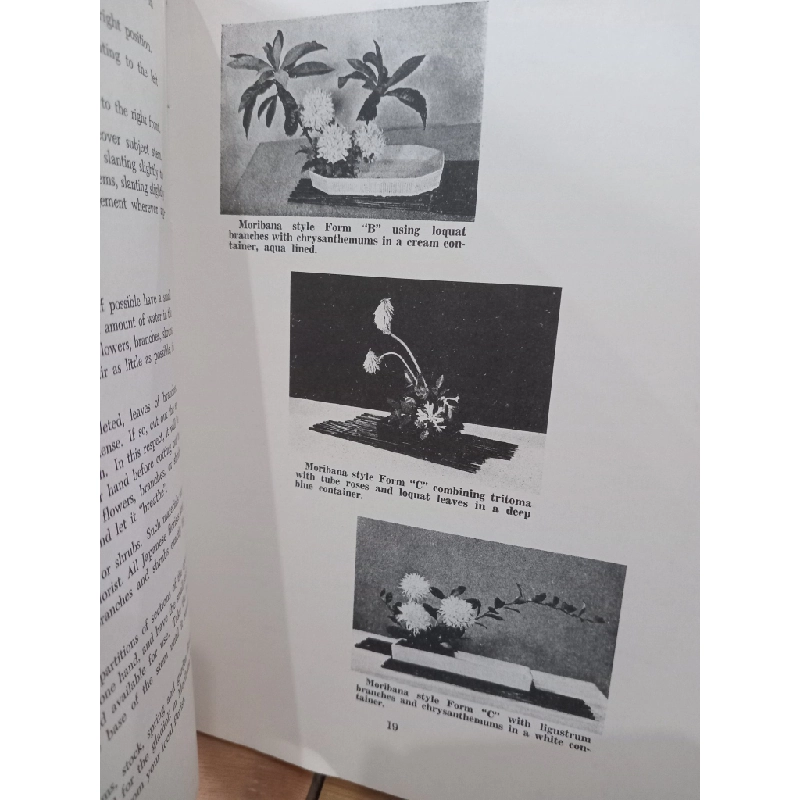 Japanese flower arrangement in a nutshell - Ellen Gordon Allen 536790