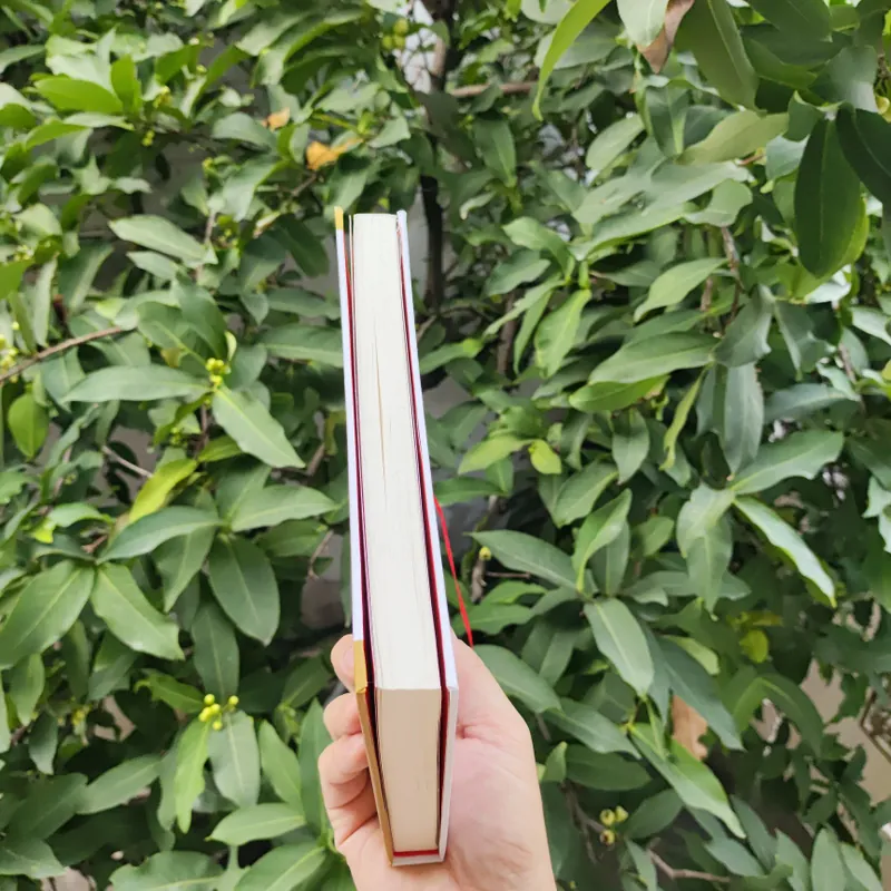 Năng Đoạn Kim Cương 706363