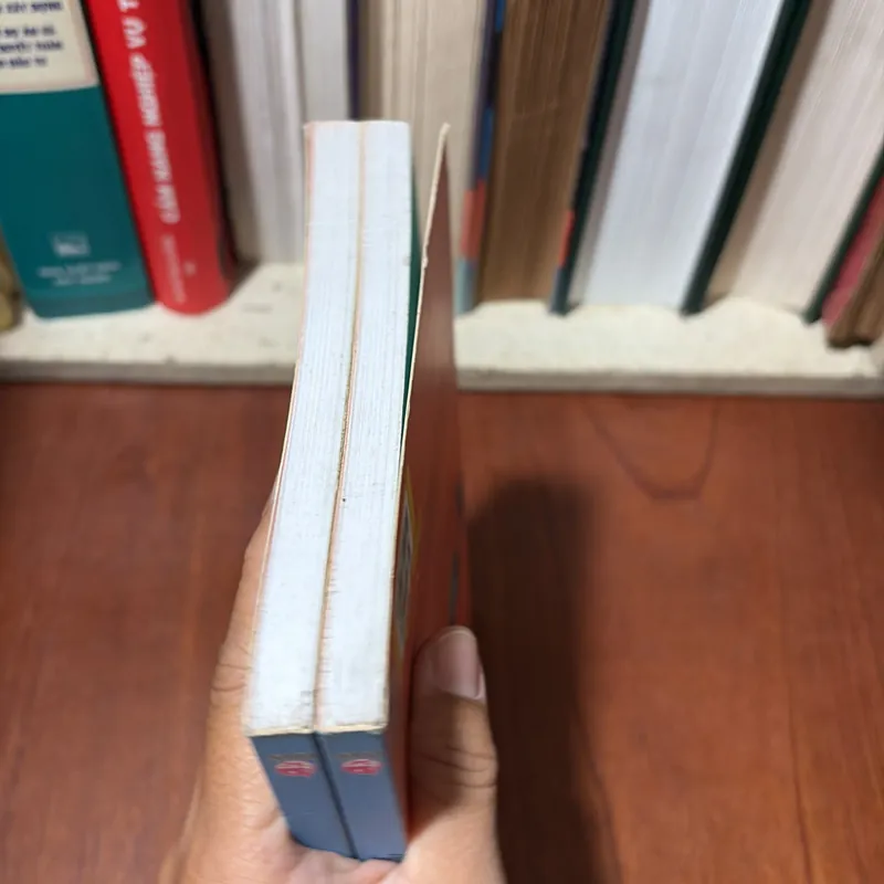 II Hình Hài Của Ý Tưởng, Hành Trình Khám Phá Sự Sáng Tạo Bằng Tranh - GRANT SNIDER - 2018 709615