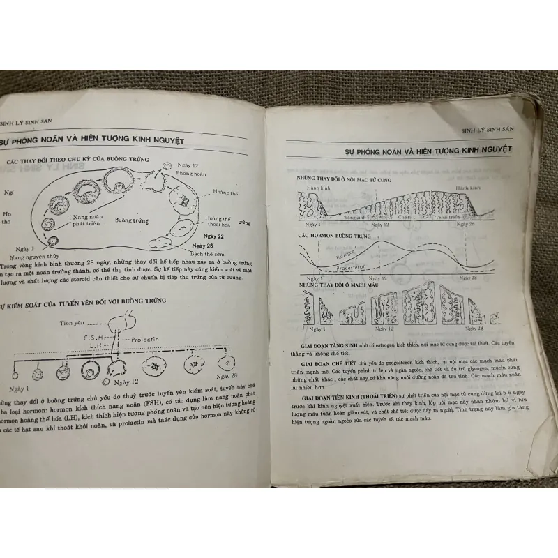 Sản khoa hình minh họa ALISTAIR W. F. MILLER FRCOG, ROBIN CALLANDER FFPH FMAA, AIMBI M 977954