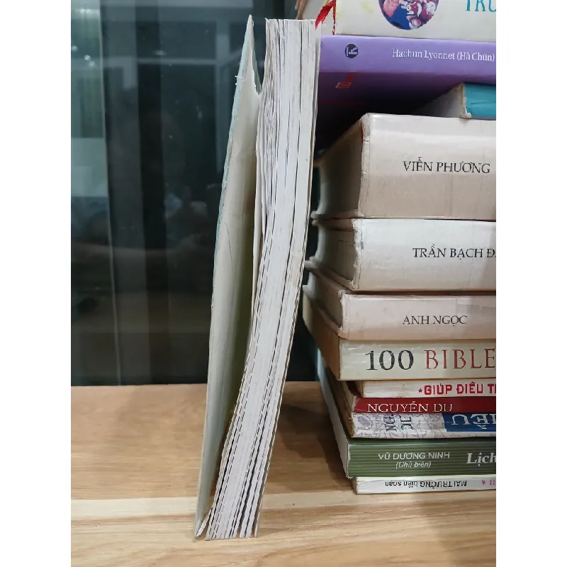 Tiểu đoàn 19 – Bước đi lịch sử – (Nhiều tác giả) 589491