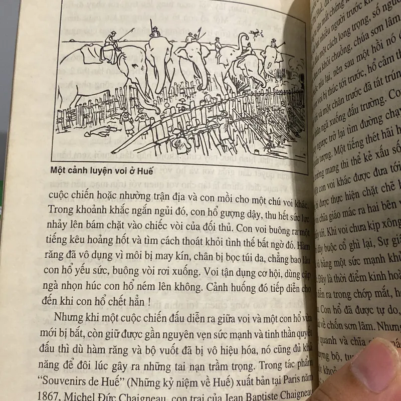 THÀNH CỔ SÀI GÒN & MẤY VẤN ĐỀ VỀ TRIỀU NGUYỄN, LÊ NGUYỄN (XB 1998) 561802