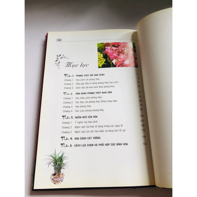 HOA CẢNH ỨNG DỤNG TRONG PHONG THUỶ 539390